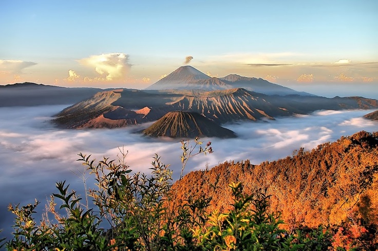 Indahnya Wisata Bromo: Pesona Alam yang Wajib Kamu Kunjungi di Jawa Timur